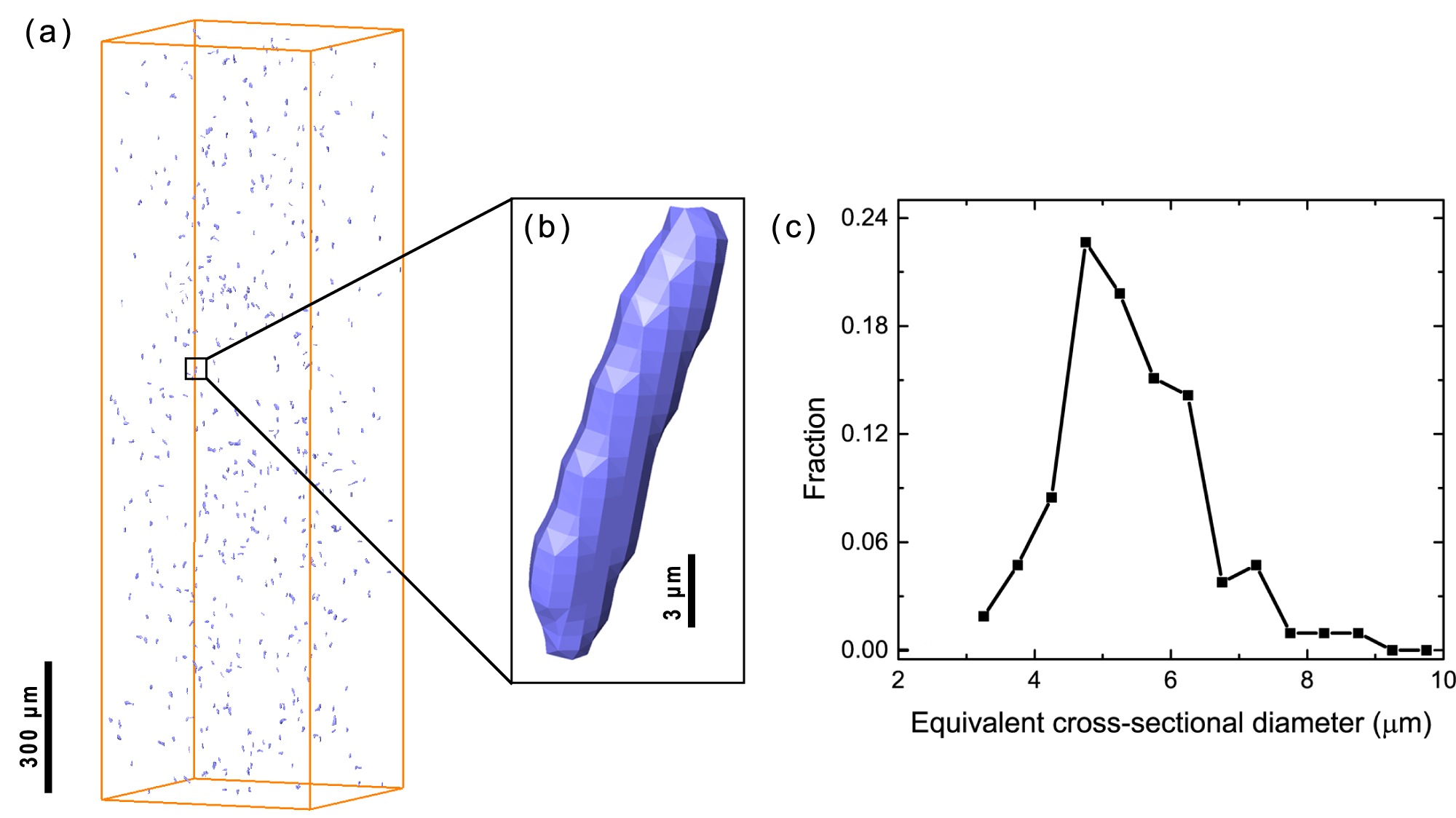 Fig. R1：micro-CT 观察到的 beta-AlFeSi 颗粒空间分布、典型形貌和等效截面直径分布